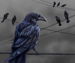 La Venganza (microrrelato)