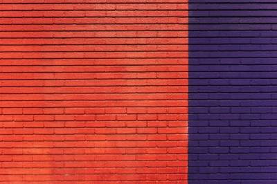 Nuestra feminista residente—Relato – PANGOLÍN INSOMNE