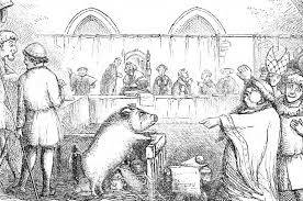 Juicio a animales