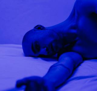 Desde la clínica: una visita invisible—Relato— PANGOLÍN INSOMNE