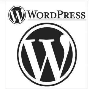 Cómo conocer la versión de WordPress instalada