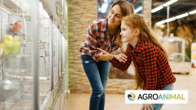 Las 5 mejores aves de compañía para niños | Agroanimal