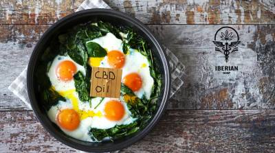 Cannabis y Alimentación