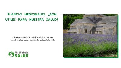 Plantas Medicinales: ¿Son Útiles Para Nuestra Salud?