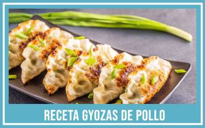Gyozas de Pollo - Empanadillas japonesas - Receta de la abuela 2023