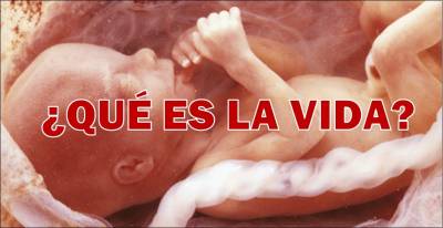 ¿Qué es la vida? (reflexión)