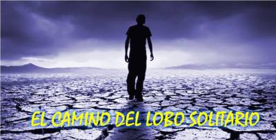 El camino del lobo solitario