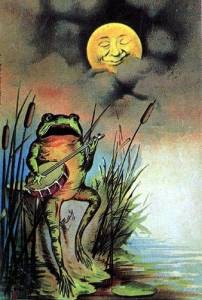 Un sapo arisco, un sol ardiente y una luna generosa