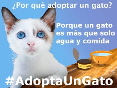 Una leyenda del gato Sagrado de Birmania. Parte XII