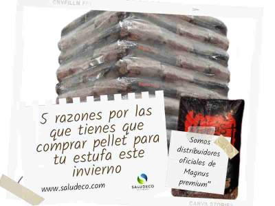 5 razones por las que tienes que comprar pellet para tu estufa este invierno