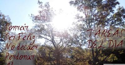 Dichos, sonrisas, y tú...: Tareas de Vida