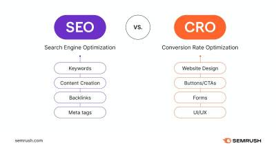 Diseño web vs Desarrollo Web. Diferencias. Cúal es más importante