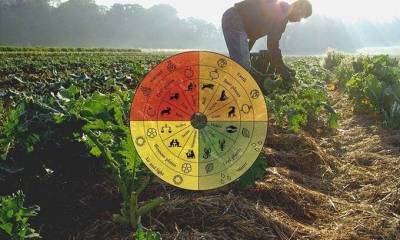 La agricultura biodinámica