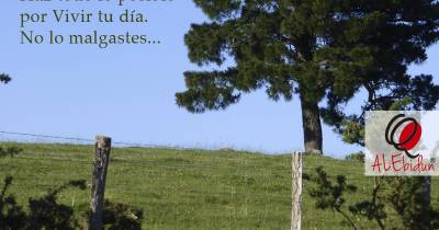 Dichos, sonrisas, y tú...: No malgastes tu día con lamentaciones