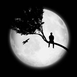 ''''Soledad'''''