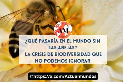 ¿Qué pasaría en el mundo sin las abejas? La crisis de biodiversidad que no podemos ignorar