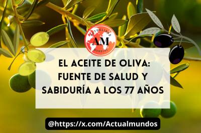 El Aceite de Oliva: Fuente de Salud y Sabiduría