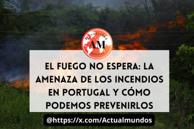 El fuego no espera: La amenaza de los incendios en Portugal y cómo podemos prevenirlos