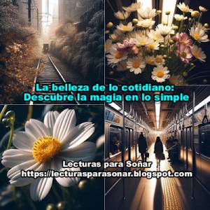 La belleza de lo cotidiano: Descubre la magia en lo simple