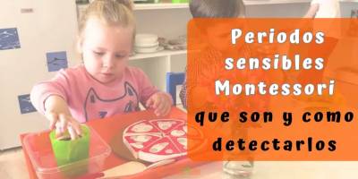 Todos los secretos sobre los periodos sensibles Montessori |