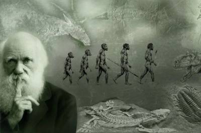 La evolución de los pinzones