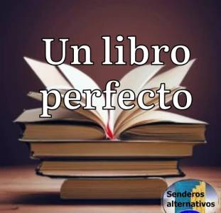 Un libro perfecto 7