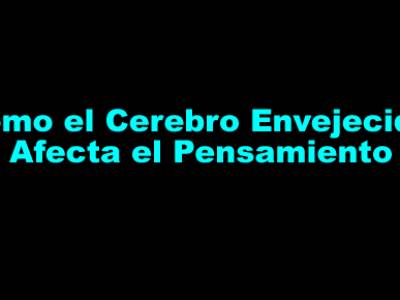 Cómo el Cerebro Envejecido Afecta el Pensamiento