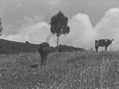 Mi soledad, fotos del milenio pasado, Guatavita 1998