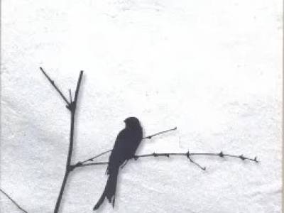 El Hombre En Busca Del Sentido .. Victor Frankl