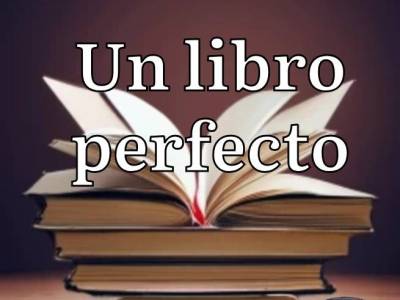 Un libro perfecto 8 (Final)