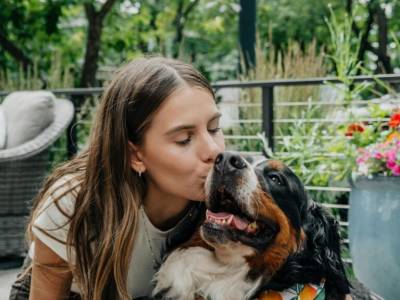 Necesidades para que tu mascota esté segura y feliz en casa