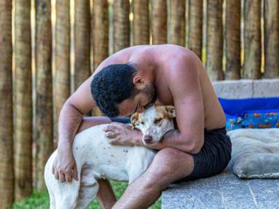 Alergias en perros. Como identificarlas y tratarlas
