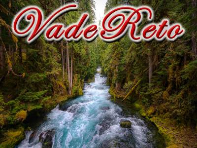 VadeReto (MARZO 2025).-