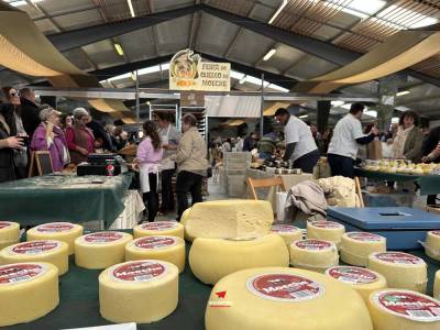 24 fiestas gastronómicas de Galicia