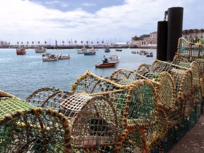 Pecados e mariscos de temporada| mariscos gallego