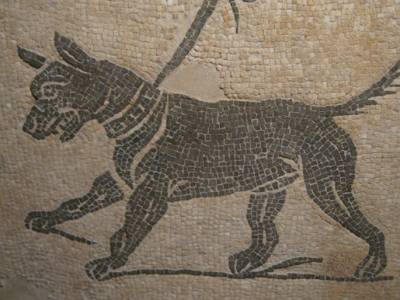 Canes, los perros en la antigua Roma