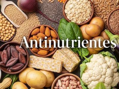 Antinutrientes: qué son y cómo reducir su impacto en tu salud