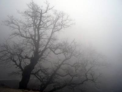 Palabra del día: NIEBLA