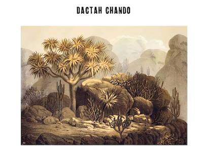 Dactah Chando celebra una década de 'Sabiduría Roots' con un lanzamiento especial