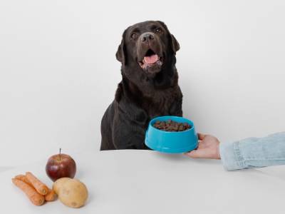 La importancia de una alimentación natural para tu perro