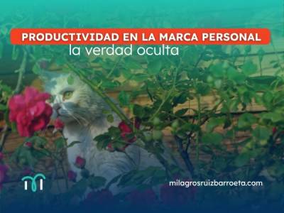 Productividad en la marca personal: la verdad oculta - Milagros Ruiz Barroeta - Consultora estratégica ∣…