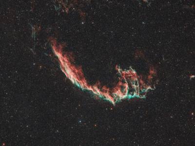La llegada del cisne, el regreso del verano - Ecos del Cosmos