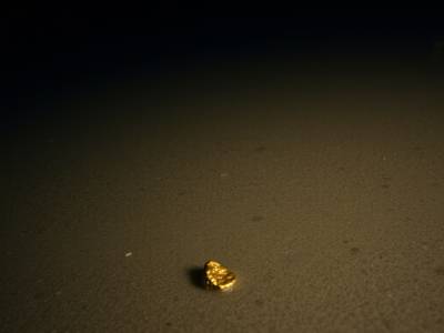 El dorado