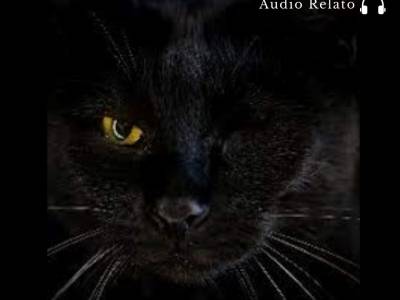 Cuento: El Gato Negro - La Cápsula Cultural