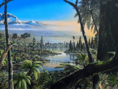 Las selvas subtropicales perdidas de la Antártida