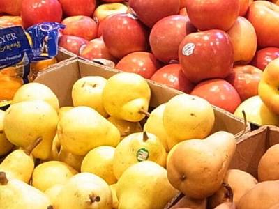 Principales certificaciones agroalimentarias