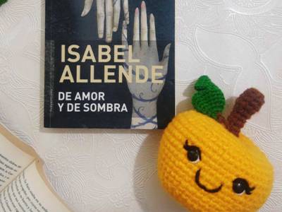 Reseña de Libro: De Amor y de Sombra de Isabel Allende | Manzanita Lectora