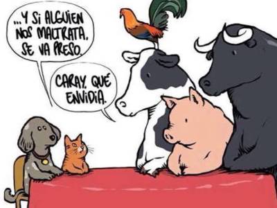 5 mitos sobre el veganismo