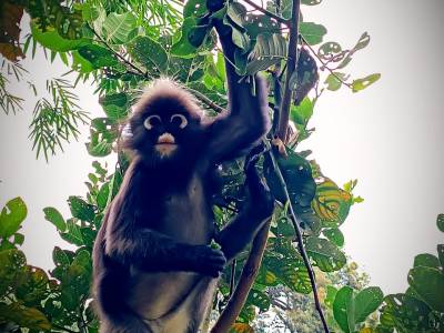 Malasia: Tu Guía Definitiva para un Viaje Inolvidable •