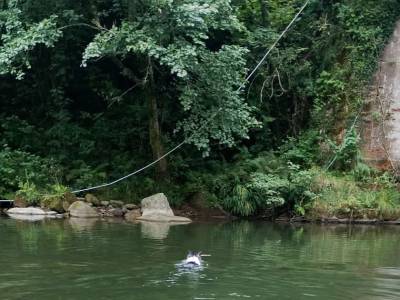 Un día caluroso en el rio Saja